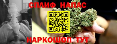 шишки Краснознаменск
